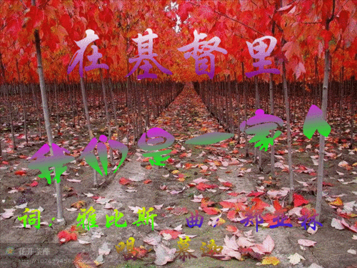 在基督里我们是一家人