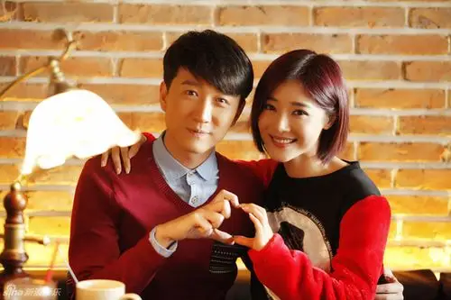 14.电视剧《追梦》