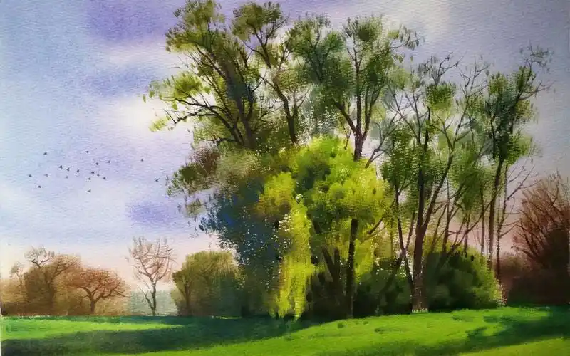 水彩风景斜阳下的树林