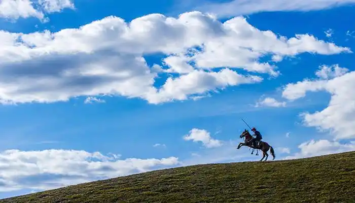 不同人梦见骑马奔跑的解析