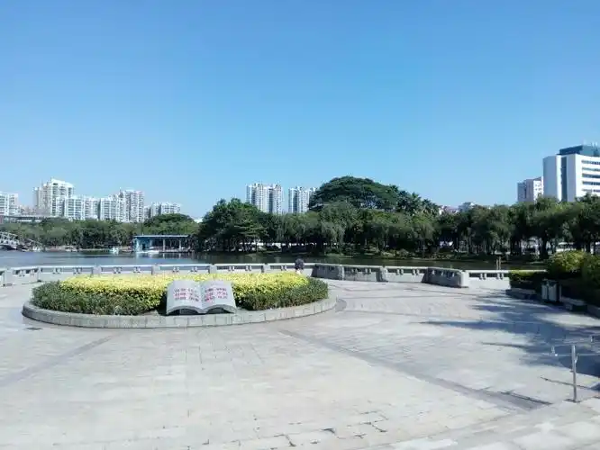 单生三水一日游.图片摄于西南公园