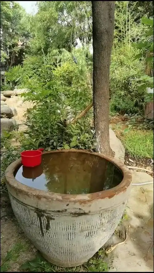 超有回忆感七十年代水缸,从老宅运来继续使用.