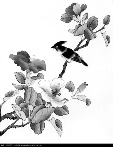 喜鹊古风插画设计