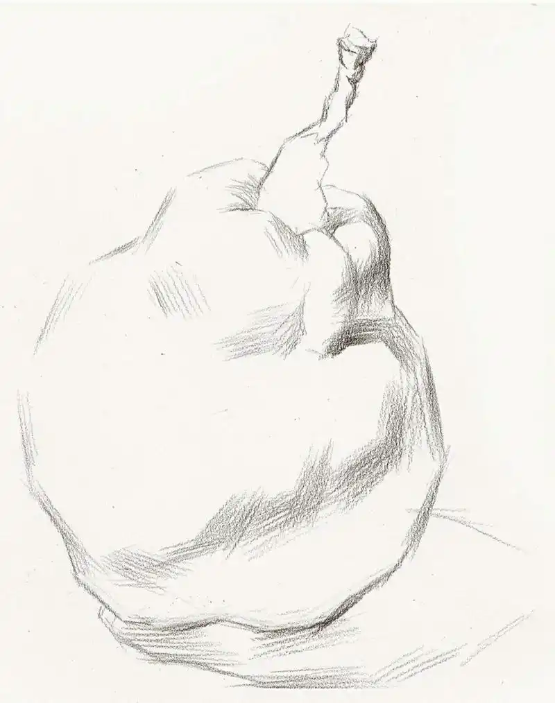 简简单单的素描梨子√步骤干货 不会画梨的小可爱可以学习一下哟