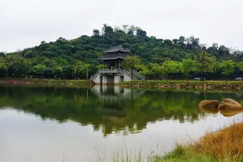 【同沙生态苑【22】摄影图片】东莞同沙生态园生态摄影_实硕摄影