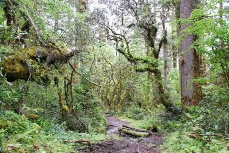 2006年."说走就走"独行墨脱