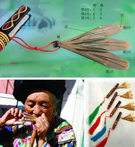 【映帆知识分享】口弦(该乐器的音域宽度为一个八度)