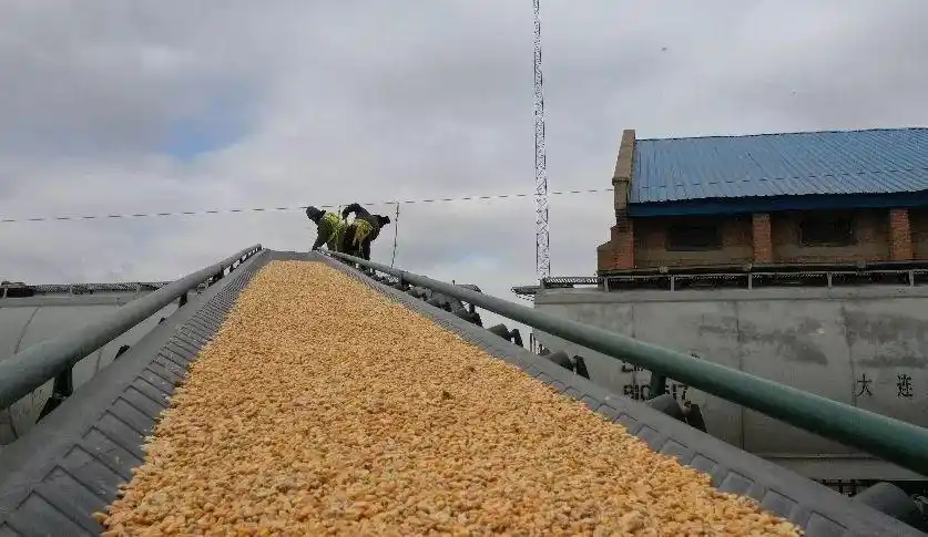 12万车,8万吨东北粮食源源不断地运送武汉,上海,成都,广州等地区有效