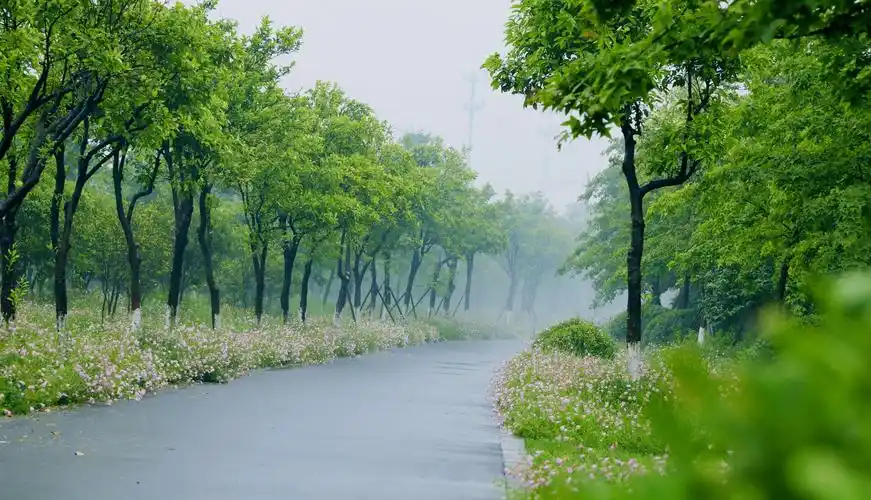 雨后"水雾天",乡村更美丽!