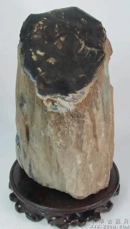 树化石1036 - 中华古玩网 - 古董收藏,古玩收藏,古玩鉴定,古玩拍卖