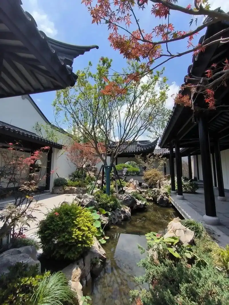 花园设计|庭院花园实景屋顶露台案例.