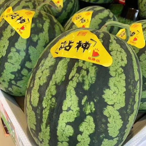 西瓜麒麟瓜无籽超甜西瓜礼盒日本引种顺丰发货 1颗装甘美4k西瓜(2
