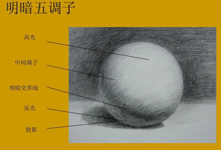素描静物的明暗五调子是什么怎么画五调子