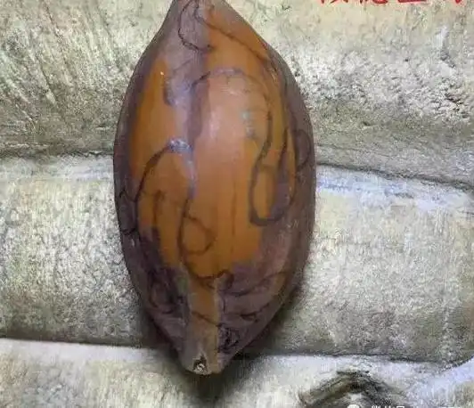 橄榄核简单雕刻方法