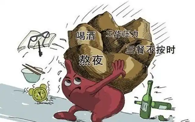 都市忙人养胃法