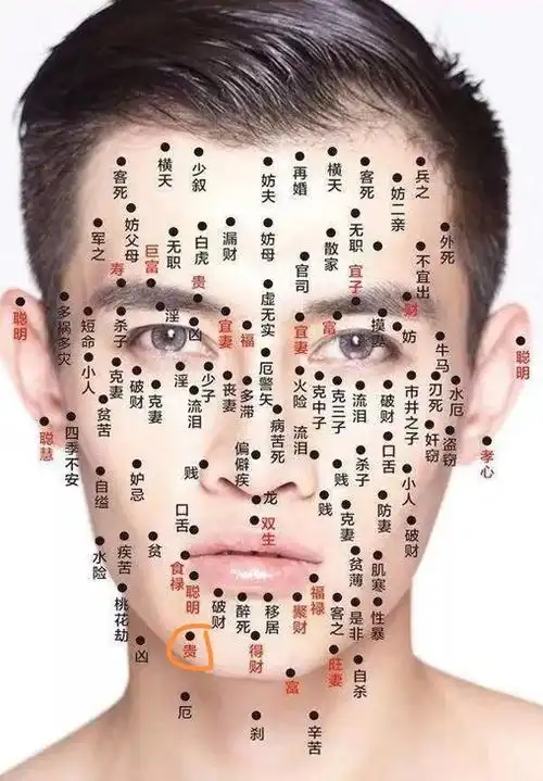 只信好的玄学帝帝这颗痣妙啊