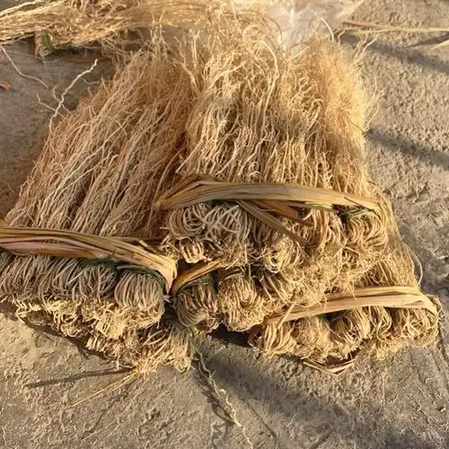 产地直发养肝草丝线根龙须根龙须草开胃草广东炖汤食材1件包邮