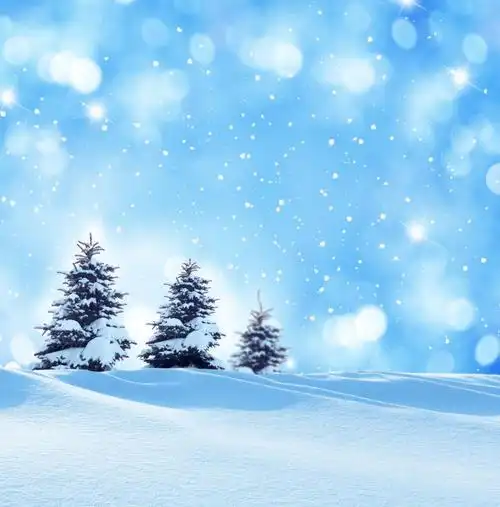 雪景杉木的圣诞背景图片-冰雪覆盖下的云杉背景素材-高清图片-摄影