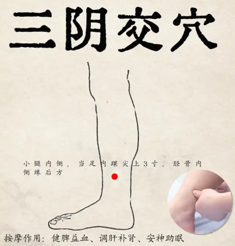 三阴,足三阴经也.交,交会也.