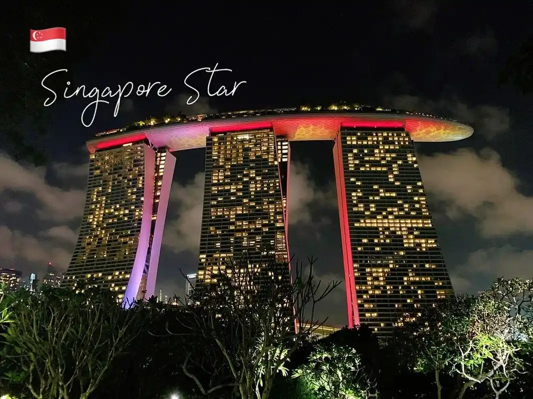 这次也只奔着无边泳池去的金沙酒店 泳池真的还是新加坡最高的地标了