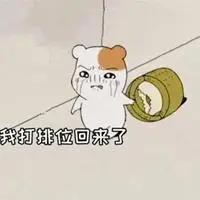 我打排位回来了表情包