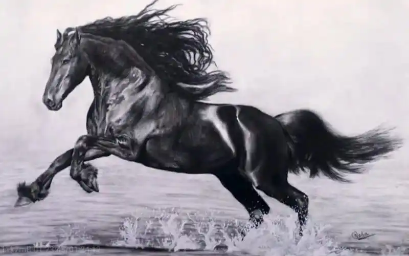 素描nehartgallery教你用炭笔绘画逼真超写实奔跑中的马