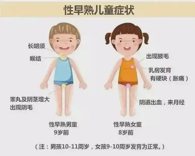 发育,表现出乳头,乳晕的部位,会出现硬核,有很多小女孩儿主诉自己乳房