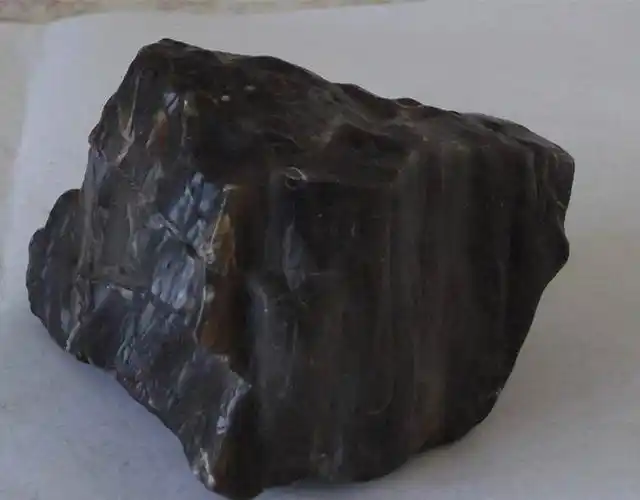 2020树化石价格体现在哪里