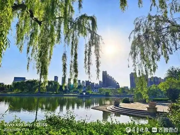 清晨阳光/宁静淡雅