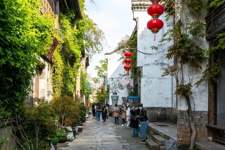 原创老门东南京老城南的缩影老房子与紫藤花交相辉映尽显梦幻古韵