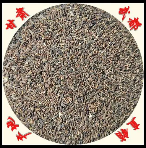 淫羊藿精品淫羊藿小圆叶淫羊藿含量0550g袋装产地批发