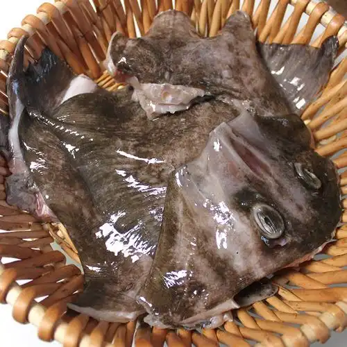 蝶鱼鰩孔鲂鱼锅盖子鱼海大正常新鲜老板128元其它