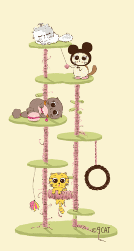 猫咪萌萌动图 9cat