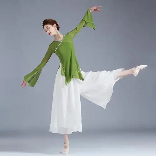 古典舞民族现d代身韵舞演出练功服上衣女成人纱衣飘逸新款舞蹈服