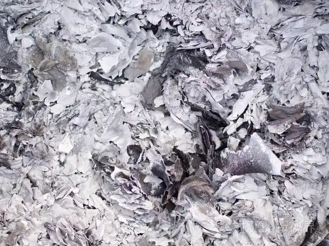 为祖先烧纸的灰烬