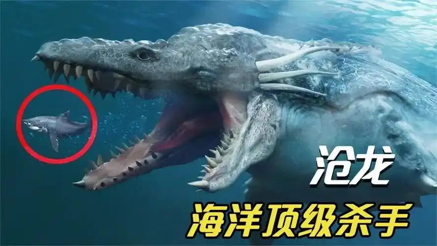 6个深海巨兽,沧龙生吞霸王龙,巨齿鲨第一位置不保了!_腾讯视频