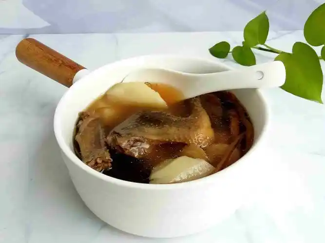 鸽子汤怎么炖最营养?分享3种做法,汤鲜味美,孩子常喝记忆力好