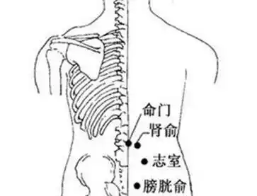 艾灸肾俞的准确位置图和作用艾灸肾俞的好处与功效