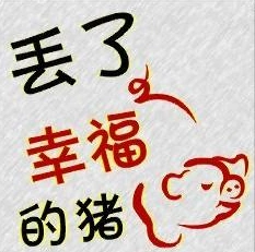 丢了幸福的猪