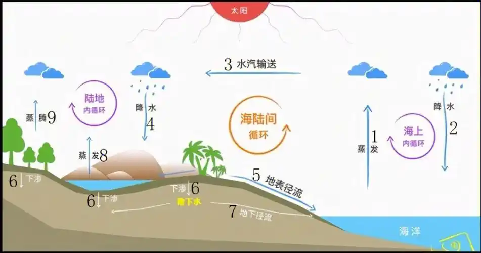 ②海上内循环:海面蒸发—>海面降水;③海陆间循环:海面蒸发—>水汽