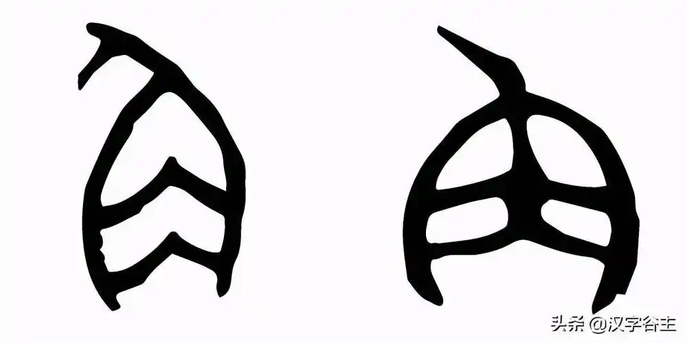 "嘴"中之"角"又指的是什么?