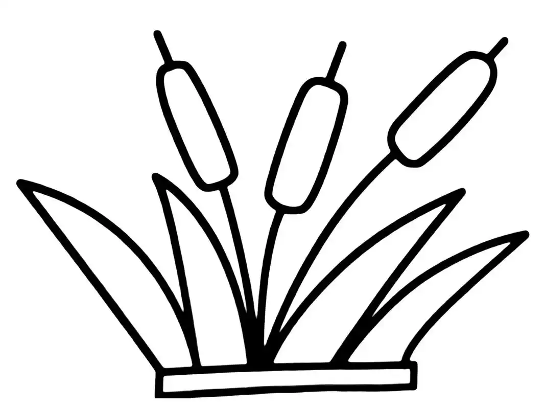 芦苇的画法简笔画图片分享,右键可保存打印