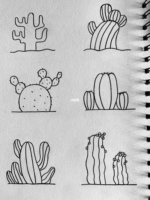 简笔画仙人掌篇
