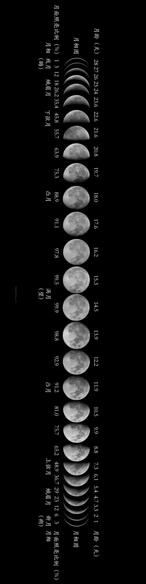 个念头——为什么不拍下每一天月龄的月亮,自己做一幅完整的月相图呢?