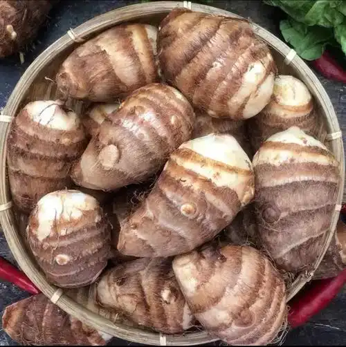 山东农家毛芋头新鲜芋艿 5斤今年新货 坏果包赔-阿里巴巴