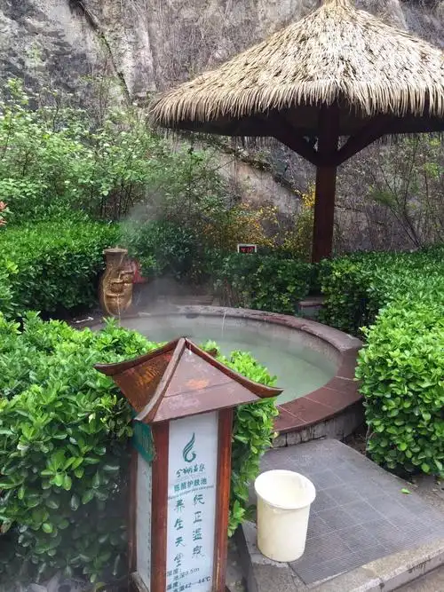 【温泉】洛阳凤翔温泉全天成人票(平时现票不含自助餐/周末节假日都