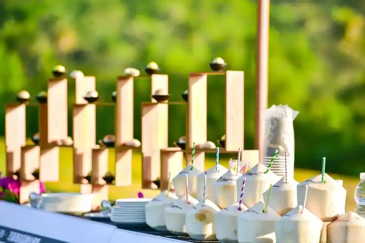 随笔||阳光绿草间的茶歇艺术