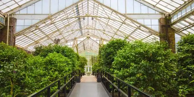 昆明遮阳网庭院温室光合作用 蔬菜大棚 「绵阳兴隆科技供应」 - 8684