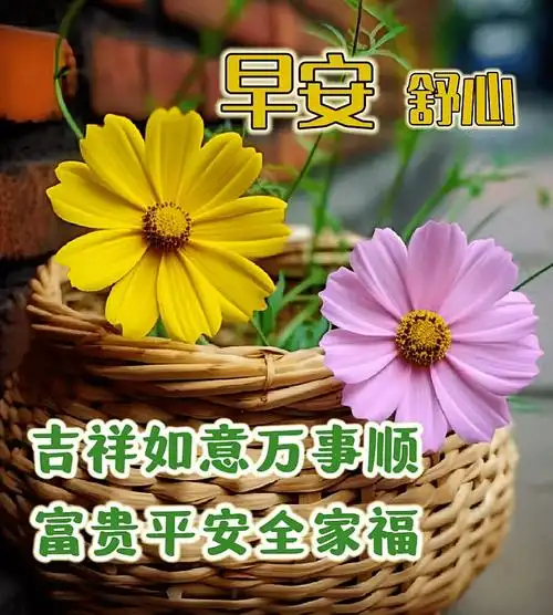 周四早上好,最新版清晨最新早安祝福创意表情包图片带字带问候语录