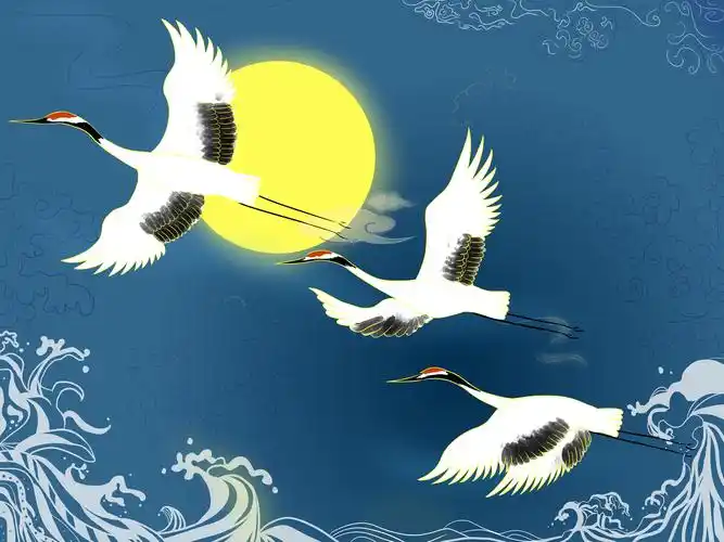 鹤|插画|插画习作|桃画画 - 原创作品 - 站酷 (zcool)